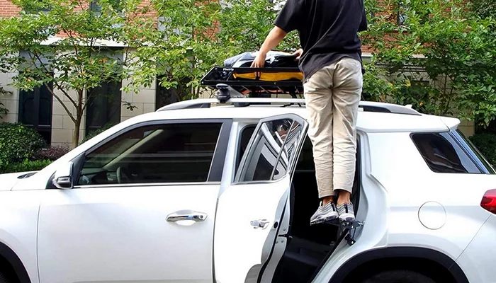 Kukica Za Penjanje Do Krova 2