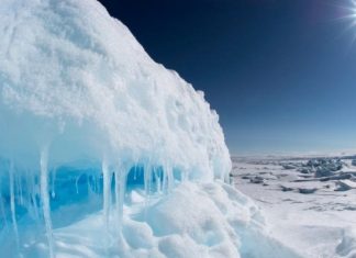 Polarni Vrtlog