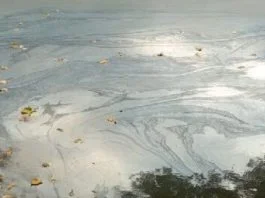 Zagađenje U Rijeci Bosni