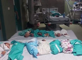 Prijevremeno rođene bebe evakuisane iz opkoljene bolnice u Gazi stigle u Egipat Bebe prijevremeno rođene u Gazi stigle u Egipat