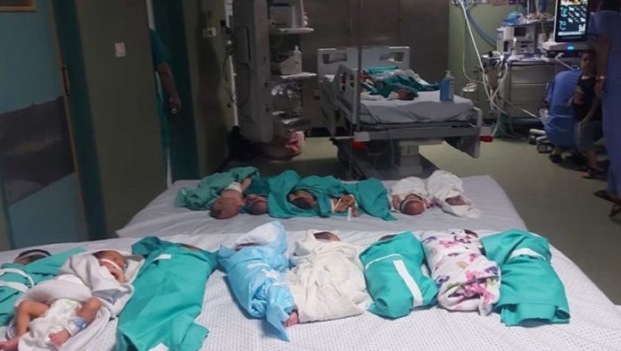 Bebe prijevremeno rođene u Gazi stigle u Egipat