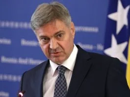 Denis Zvizdić