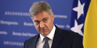 Denis Zvizdić