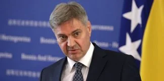 Denis Zvizdić