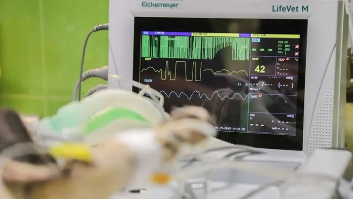 Pejsmeker Bez Elektroda