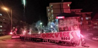 Robijasi Grafit
