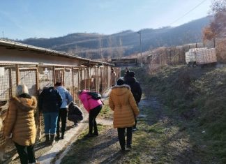 Selt BH donirao 10 tona hrane zeničkom azilu Azil U Stranjanima