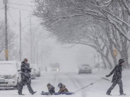 Polarna Noć Austrija