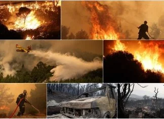 Svijet se 2023. borio s velikim šumskim požarima Požar 2023