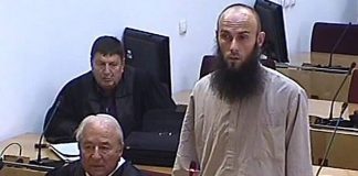 Mirza Kapić