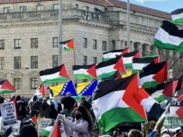 Protesti Za Gazu