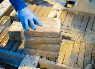 U Španiji zaplijenjeno više od 820 kilograma kokaina, uhapšeno 17 članova ‘Balkanskog kartela’ Kokain Ilustracija