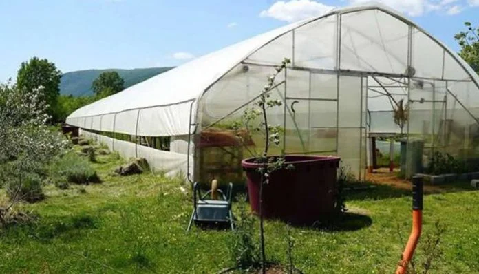 Posao Biznis Ilustracija