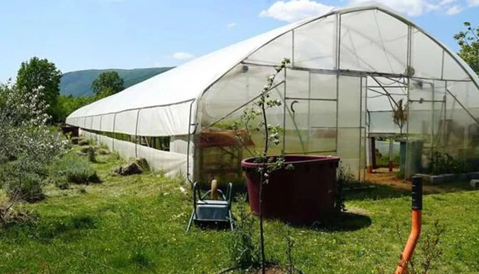 Posao Biznis Ilustracija