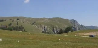 Vlašić