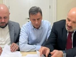 Fadil Novalić
