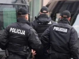 MUP, Policija