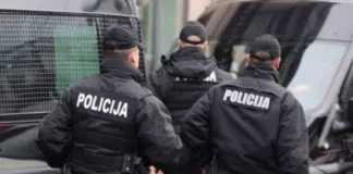 MUP, Policija