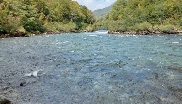 Drina, HE Foča