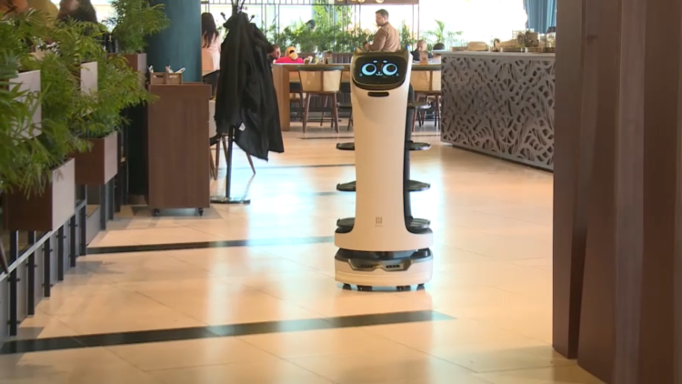 Robot Na Poslu Usluživanja