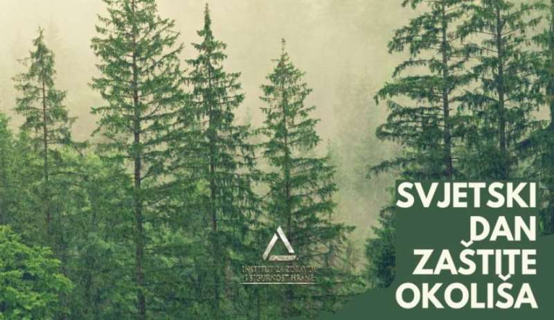 Danas Svjetski dan zaštite okoliša – Naša zemlja, naša budućnost
