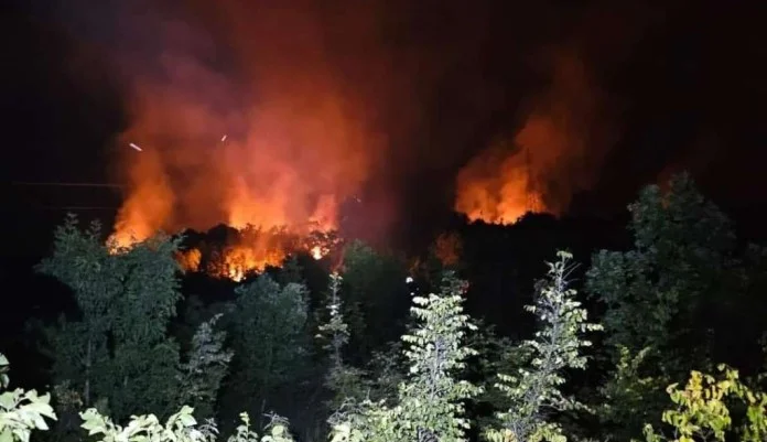 Aktivan požar kod Stoca, gore trava i nisko raslinje na nepristupačnom terenu