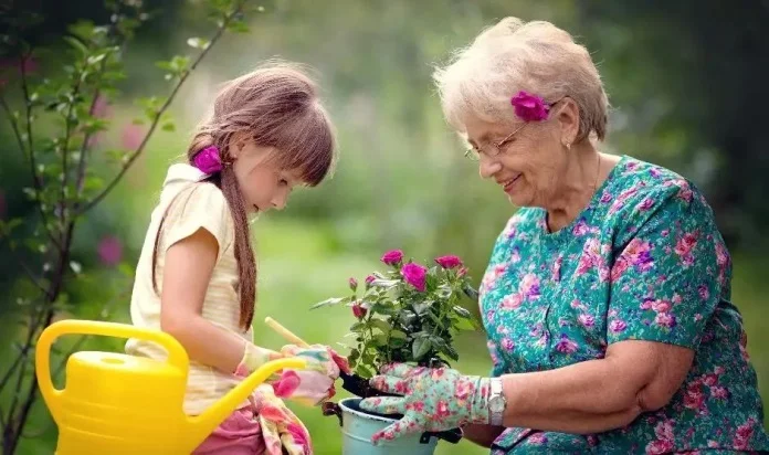 Bake i djedovi u Švedskoj imaju naknadu za čuvanje unuka