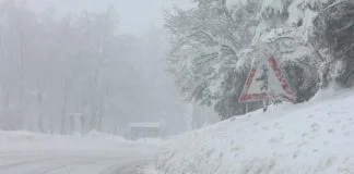 Pepelari Zenica