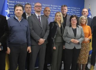 Revizori FBiH