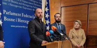 Damir Hasanović