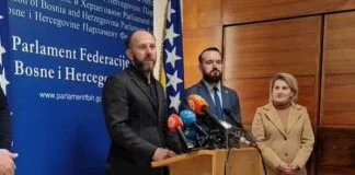 Damir Hasanović