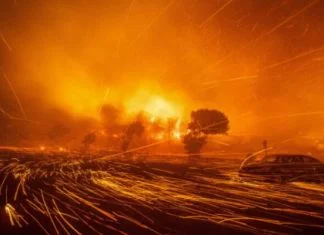 MVP BiH: Nemamo saznanja o stradalim i povrijeđenim državljanima u Los Angelesu