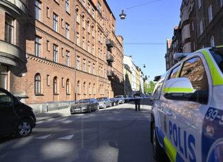 Švedska Policija