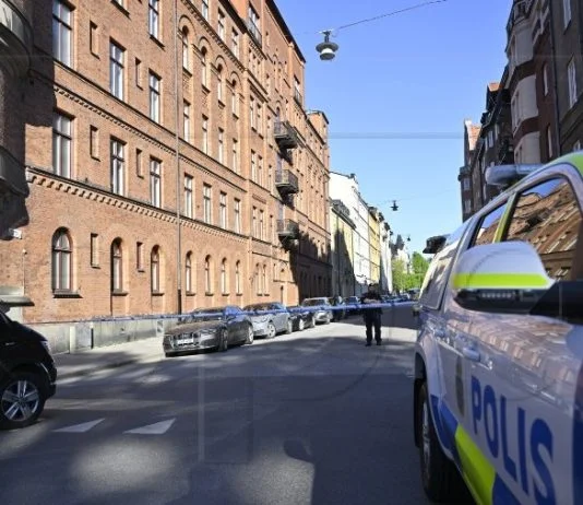 Švedska Policija