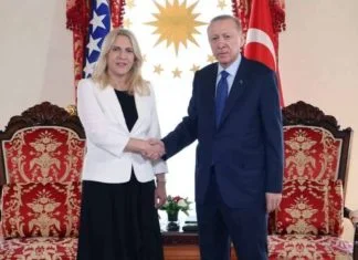 Cvijanović I Erdogan