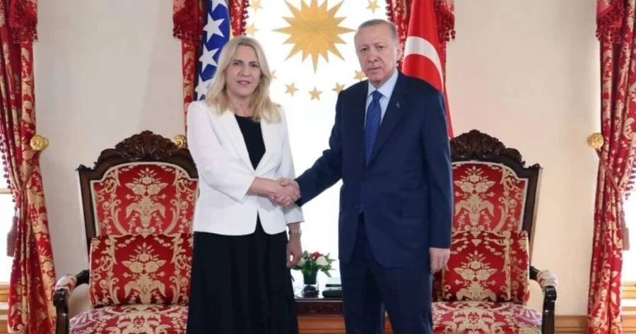 Cvijanović I Erdogan