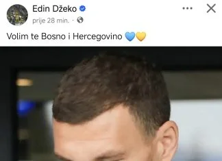 Edin Džeko Status