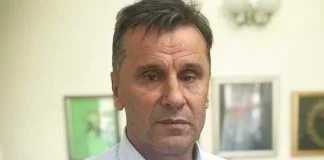 Fadil Novalić