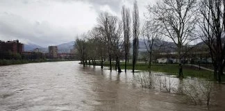 Pooplave, Zenica
