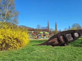 Zenica, Proljece