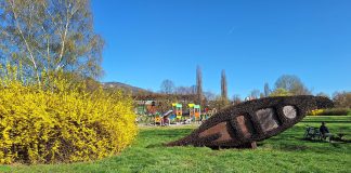 Zenica, Proljece