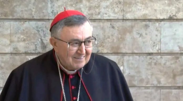 Kardinal Puljić