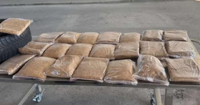 Duhan Sverc 1080x567