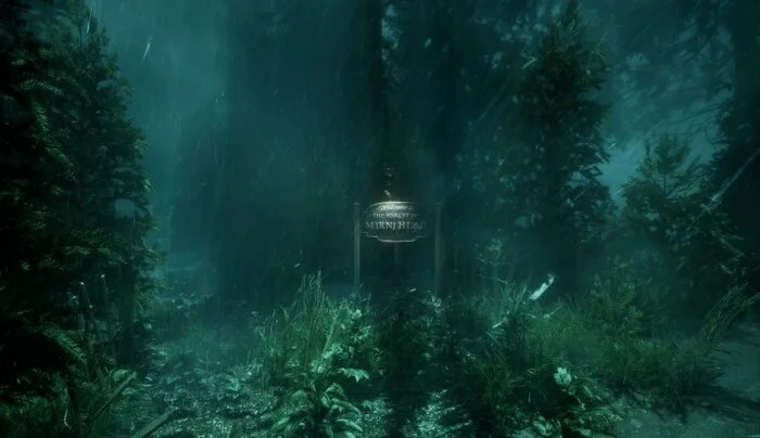 Zeničanin Belmin Kozlić na Steam Next Festu s psihološkim horor naslovom “The Vanished Soul”