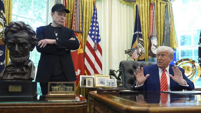 Musk Trump