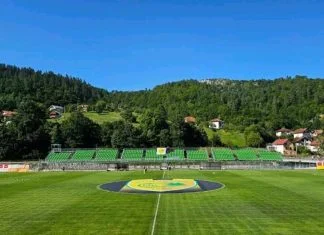 Stupčanica