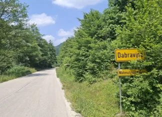 Breza Vares