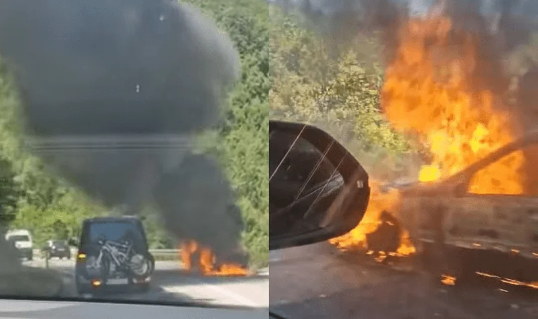 Polish 20250719 164923347