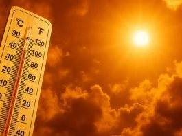Sunce Vrucina Toplotni Udar