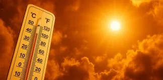 Sunce Vrucina Toplotni Udar